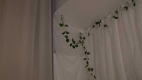 Media: Video of a corner of a room featuring white curtains with a delicate, green ivy garland draped over the top. The background is soft, diffused lighting, creating a serene, elegant ambiance.