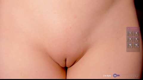 Media: Video of a close-up view of a fair-skinned woman's shaved vulva, showing smooth skin and natural body contours. The background is out of focus, highlighting the genital area.