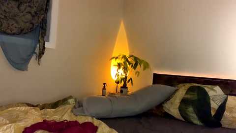 Media: A video of a dimly-lit bedroom corner with a potted plant, a glowing lantern, and a pillow on a bed covered with a red blanket.