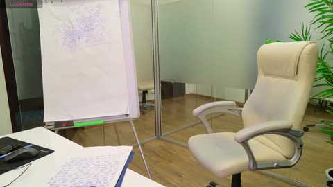 Media: Video of a modern office conference room with a whiteboard, leather chair, wooden floor, green plant, and glass walls.