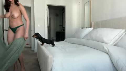 Media: Video of a nude woman with medium-sized breasts and dark hair, wearing green panties, holding a green sweater. She's standing in a modern, minimalist bedroom with a white bed and a black dachshund on the bed.