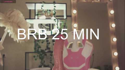 Media: A video of a pink plastic bowl with a cartoon character face, surrounded by a mirror with warm lights, and a plant hanging in a white frame. Text overlay reads \"BRR 25 MIN.\