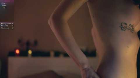 Media: Video of a slender, nude female with fair skin, a small tattoo on her left side, and a dimly lit bedroom background with blurred furniture and a TV screen displaying social media.