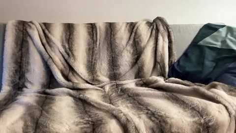 Media: A video of a plush, brown and cream faux fur blanket draped over a light grey sofa, with a teal throw pillow visible on the right.