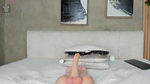 Media: Video of a nude person's erect penis pointing towards a white pillow on a bed, with abstract art and a laptop visible in the background.