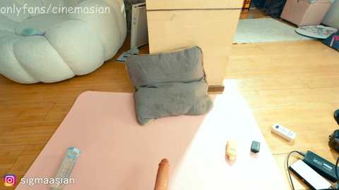 Media: Video of a cozy living room with a plush gray cushion on a pink mat; wooden floor; remote control, dildo, and vibrator scattered around.