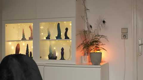 Media: A video of a white-walled room with a person's back facing, seated in a black salon chair. A shelf holds a variety of colored, lit-up sex toys, and a potted plant with ferns sits beside a glowing lamp.