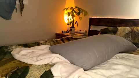 Media: Video of a cozy bedroom with a wooden bed, white duvet, gray pillow, green and brown patterned bedspread, small table with a lamp, and potted plant, warm lighting, rustic decor.