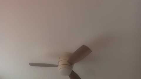 Media: Video of a ceiling fan with three blades, partially obscured by a thick layer of dust and cobwebs, creating a hazy, yellowish-gray atmosphere. The fan's light fixture is also dusty, suggesting neglect.