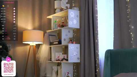 Media: Video of a modern living room with a white shelving unit adorned with decorative items, a floor lamp, and string lights. A teal armchair is visible in the foreground.