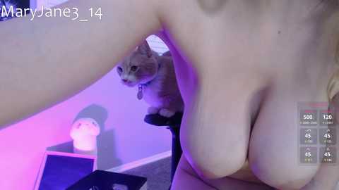 Media: Video of a nude woman with large breasts, holding a cat with grey fur in a dimly lit room.