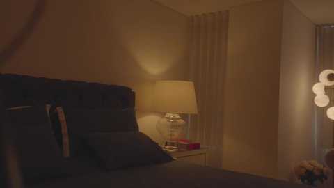 Media: A dimly lit video of a cozy bedroom with a dark blue bed, a beige lamp on a nightstand, and a sheer curtain.