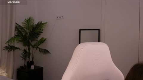 Media: Video of a modern, minimalist bedroom with a white Eames chair, a tall potted fern, and a framed black square on a white wall, creating a sleek and clean aesthetic.