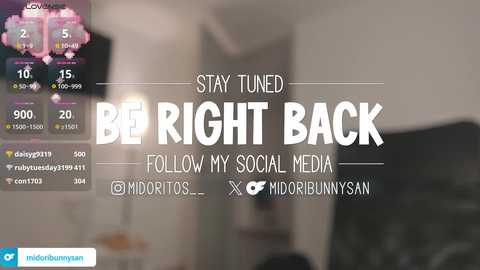 Media: Video of a social media post with a blurred background. Text reads: \"Stay tuned BE RIGHT BACK Follow my social media @midoribunnysan.\