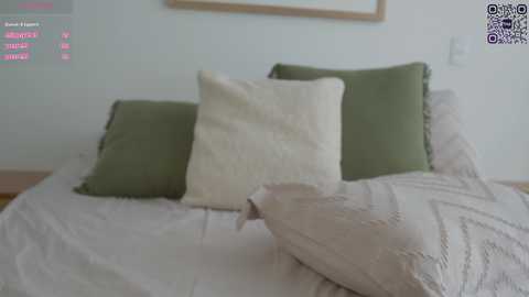 A video of a bed with a beige duvet and three pillows: two green and one cream, set against a plain white wall. A black-and-white image of a dog is partially visible, suggesting a playful or intimate moment.