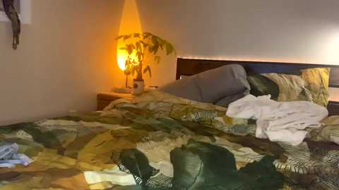 Media: Video of a dimly lit bedroom with a bed covered in a green and beige patterned duvet, a warm, orange lamp casting a soft glow on the wall, and scattered white clothes on the bed.