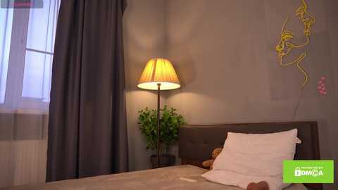 Media: Video of a cozy bedroom with a dark headboard, white pillows, beige blanket, potted plant, lamp, gray curtains, and wall art.