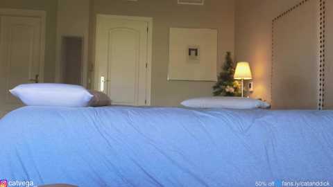 Media: Video of a neatly made twin bed with light blue sheets and a white pillow, in a beige room with a door, wall lamp, and framed art.