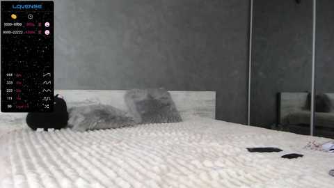 Media: Video of a modern bedroom with a gray, textured wall, a bed with white, wavy bedding, and a black and white pillow. The room has a minimalistic design.