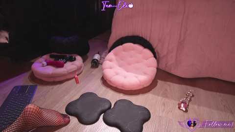 Media: Video of a cozy bedroom scene with a plush pink cushion, black cat toys, a fishnet sock, and a bed with pink sheets.