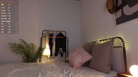 Media: Video of a cozy, dimly lit bedroom with white walls, a metal-framed bed with beige pillows, fairy lights, a hanging coat rack, and a potted fern.