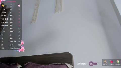 Media: A video of a white wall with a macrame hanging, partially obscured by a virtual chat overlay showing user details. The background includes a bed with dark wooden headboard and a pillow with pink and white floral pattern.