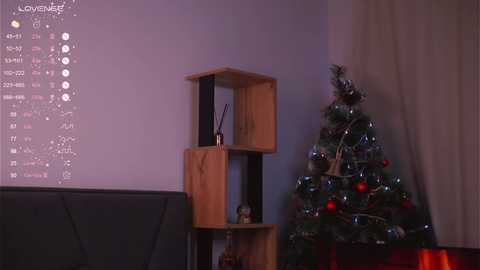 Media: Video of a cozy living room with a wooden shelving unit holding candles and a small Buddha statue. A lit Christmas tree with red ornaments stands beside a beige curtain.