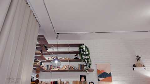 Media: Video of a modern, bright room with white walls and wooden floating shelves. Shelves hold various books, a large potted plant, and decorative items. A white ceiling fan hangs from the center.