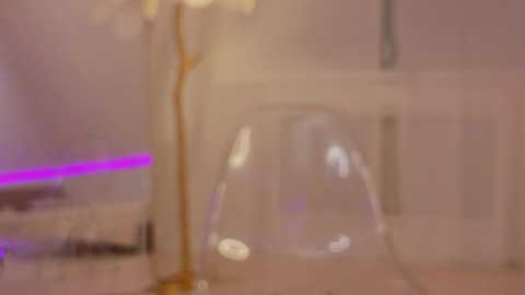 Media: A blurry video featuring a glass vase on a table, partially obscured by a purple light strip, with a soft, diffused lighting effect.