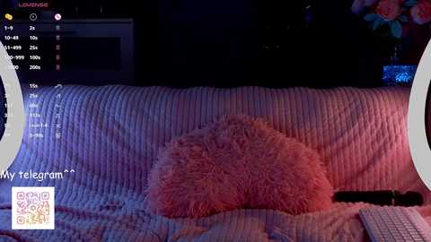 Video of a dimly lit living room featuring a plush, pink, fuzzy throw pillow on a textured, white blanket, with a black remote control nearby.