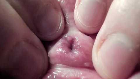 Media: A close-up video showing a human vulva being spread open by fingers. The skin is pink and moist, with visible labia and vaginal opening.