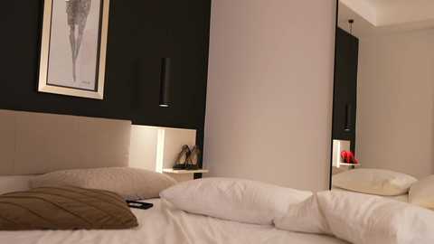 Media: Video of a modern bedroom with a minimalist design featuring white bedding, beige pillows, a black wall with a framed art piece, and a sleek black wall-mounted light fixture.