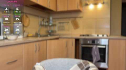 Media: A blurred, virtual image of a cozy, modern kitchen with wooden cabinets, stainless steel appliances, and a comfortable chair draped with a patterned blanket. The background shows a tiled backsplash and hanging utensils.