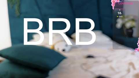 Media: A blurry video showing a plush, teal sofa with a white pillow, featuring the text \"BBR\" in bold, white letters. A digital overlay with a heart icon and \"10\" score is visible.