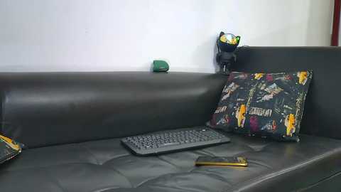 Media: A video of a dark gray leather sofa with a black keyboard and a smartphone on the cushion, adorned with a colorful, cartoon-patterned pillow. A green plush toy and a black headphones case are nearby on the sofa's edge.