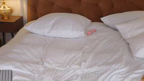 Media: Video of a neatly made bed with white sheets, a tufted brown headboard, two pillows, and a pink object partially hidden under the pillow.