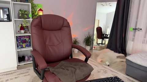 Media: A video of a cozy, modern living room with a plush, maroon leather recliner chair, a white bookshelf, a black chair, and a fluffy white dog on a beige rug.