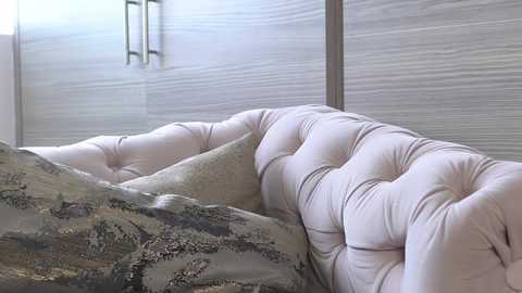 Media: Video of a tufted, cream-colored leather couch with a patterned throw blanket, against a modern, light wood-paneled wall with horizontal grain texture. Sleek, metallic handles are visible on the right side of the image.