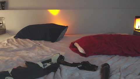 Media: Video of a dimly-lit bedroom with a red pillow and a dark blue pillow on white sheets, a sleeping person in a green jacket, and a warm light from a lamp on the right wall.