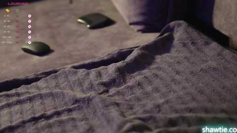 Media: A video shows a dark, textured blanket draped over a couch, with two black mice scattered on it. The background features a dark brown sofa.