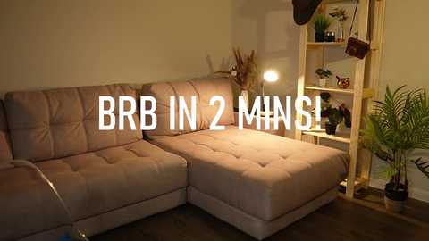 Media: Video of a modern, minimalist bedroom featuring a beige sectional sofa, a wooden shelf with plants, and a \"BB IN 2 MIN\" text overlay.