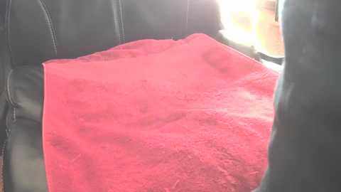 Media: Video of a black leather car seat with a bright pink blanket draped over it, partially covering the seat. The blanket has a fluffy texture.