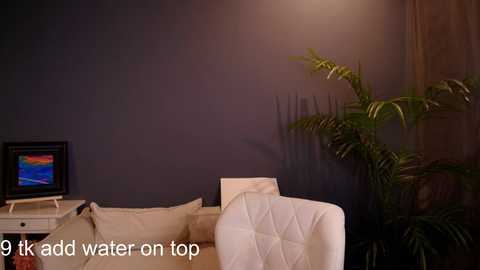 Video of a dimly lit, minimalist living room with a dark gray wall, beige sofa, potted fern, and framed colorful artwork on a white side table. Text overlay: \"Add water on top.\