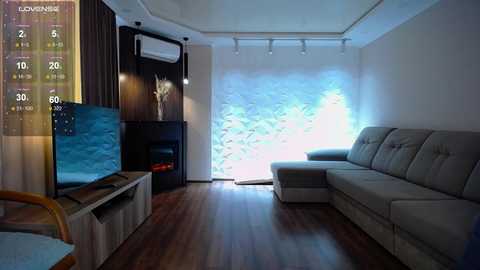 Media: Video of a modern living room with a gray sectional sofa, wooden floor, large TV on a dark cabinet, and a white textured wall behind a window.