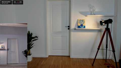 Video of a minimalist room with a white door, wooden floor, a potted plant, and a tripod-mounted camera on a shelf.