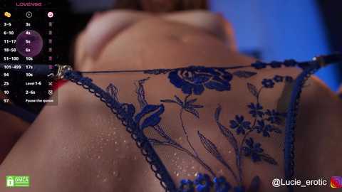 Media: Video of a close-up, wet, sheer blue lace thong with floral embroidery on a fair-skinned, partially visible woman's abdomen, with a blurred background.