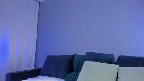 Media: Video of a dimly lit room with a dark green couch and light beige pillows against a grey wall, with a blue light casting a soft, eerie glow.