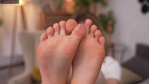 Media: A video of a person's feet in socks, relaxed and crossed at the ankles, with a blurred background featuring a potted plant and a beige sofa.