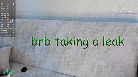 Media: A video of a beige couch with a textured, slightly worn fabric. A green text overlay reads, \"brib taking a leak.\" A smartphone is placed on the couch.