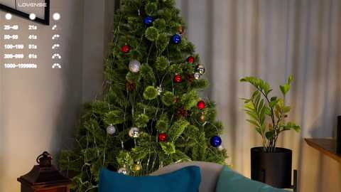 A video of a cozy living room with a decorated Christmas tree, adorned with red, blue, and silver ornaments. A teal couch and a green potted plant are visible. The background features beige curtains and a wooden table.